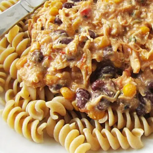 Slow Cooker Creamy Chicken and Black Beans
