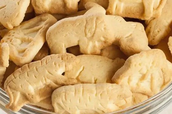 How to Make Homemade Animal Crackers Recipe