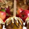 Caramel apples drizzled with white chocolate and dark chocolate.