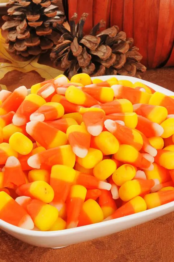 Closeup of Homemade Halloween Candy Corn in a white bowl with pinecones in the background.