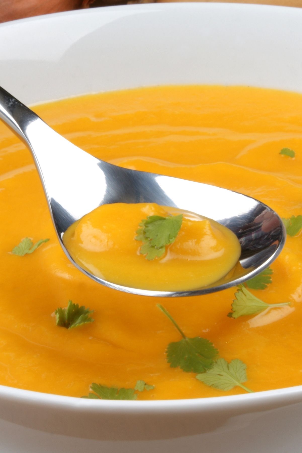 Closeup of Bowl of Butternut Squash soup in a white bowl.