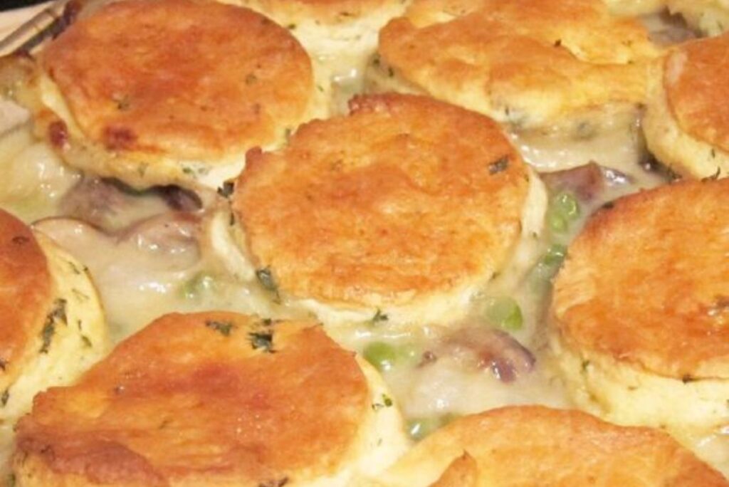 Closeup of Chicken Stew with Biscuits (The Ultimate Comfort Food).