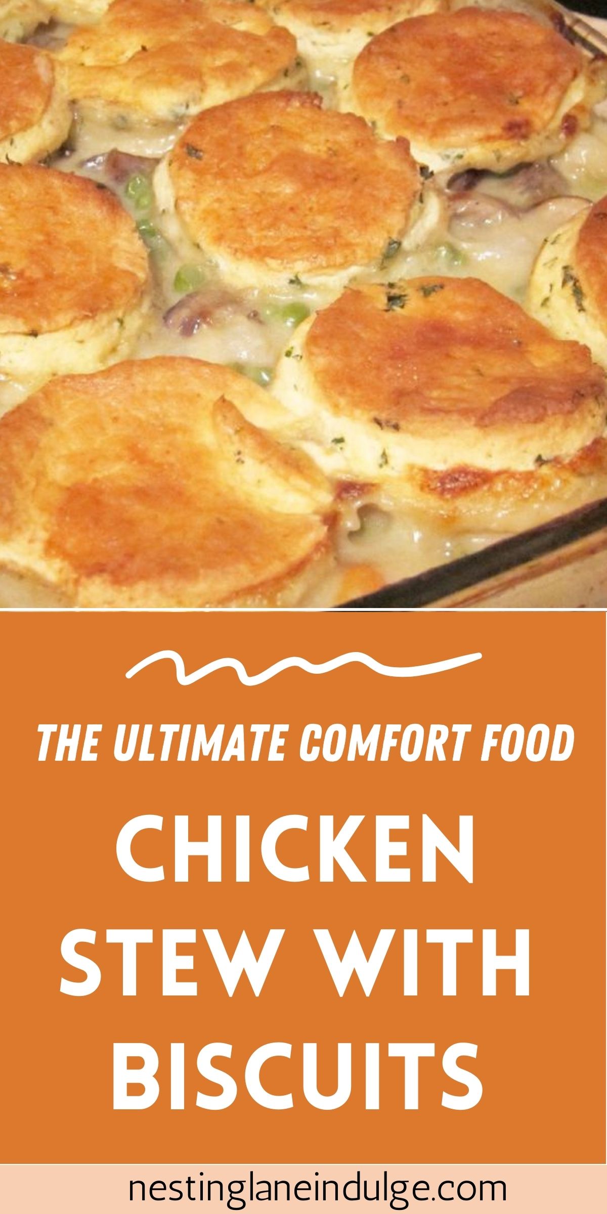Graphic for Pinterest of Chicken Stew with Biscuits (The Ultimate Comfort Food) Recipe.
