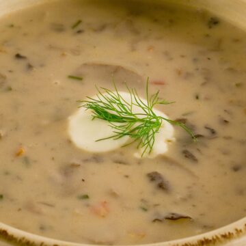 Closeup of Easy Portabella Mushroom Soup.
