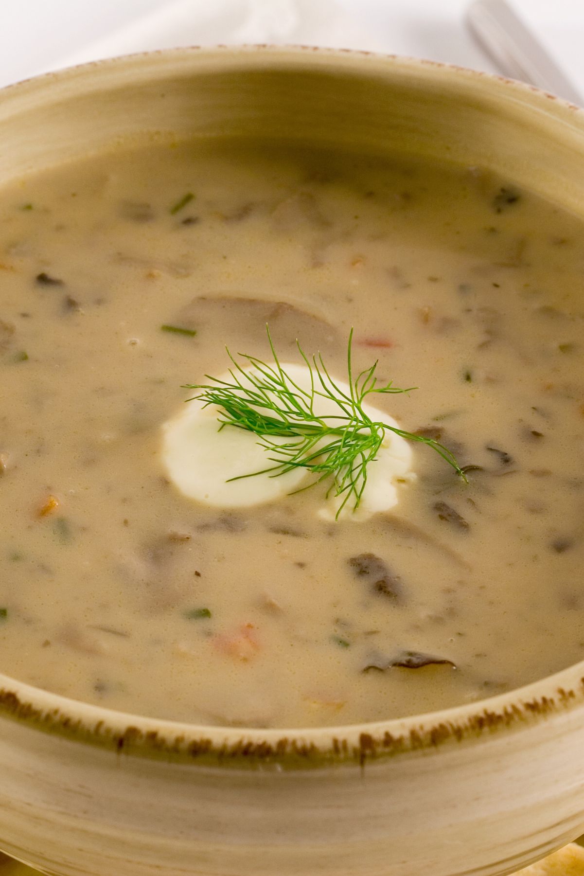 Closeup of Easy Portabella Mushroom Soup.