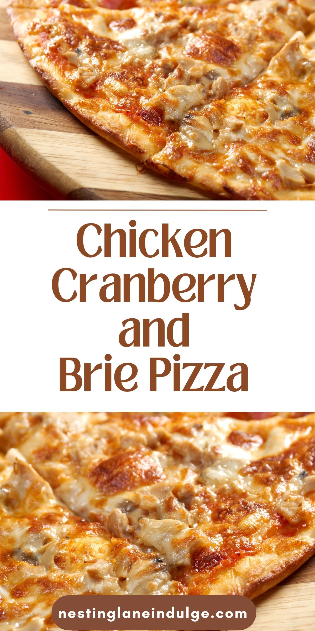 Chicken Cranberry and Brie Pizza Graphic.