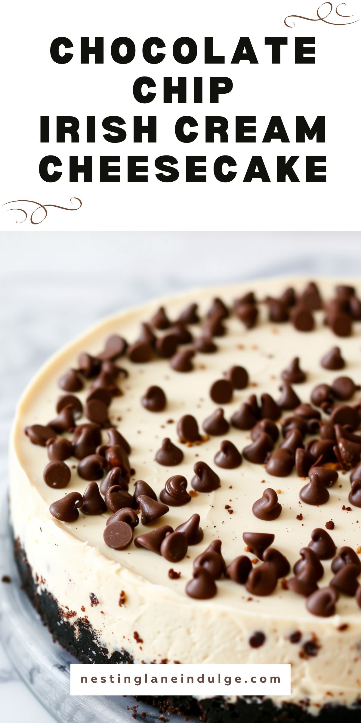 A whole Chocolate Chip Irish Cream Cheesecake with a black cookie crust, garnished with chocolate chips on top, displayed on a white background with the text 'nestinglaneindulge.com'