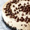A close-up view of Chocolate Chip Irish Cream Cheesecake highlighting the chocolate chip toppings and the creamy texture against a black cookie crust.