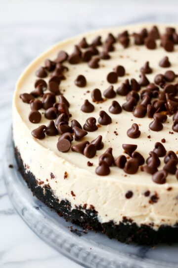A close-up view of Chocolate Chip Irish Cream Cheesecake highlighting the chocolate chip toppings and the creamy texture against a black cookie crust.
