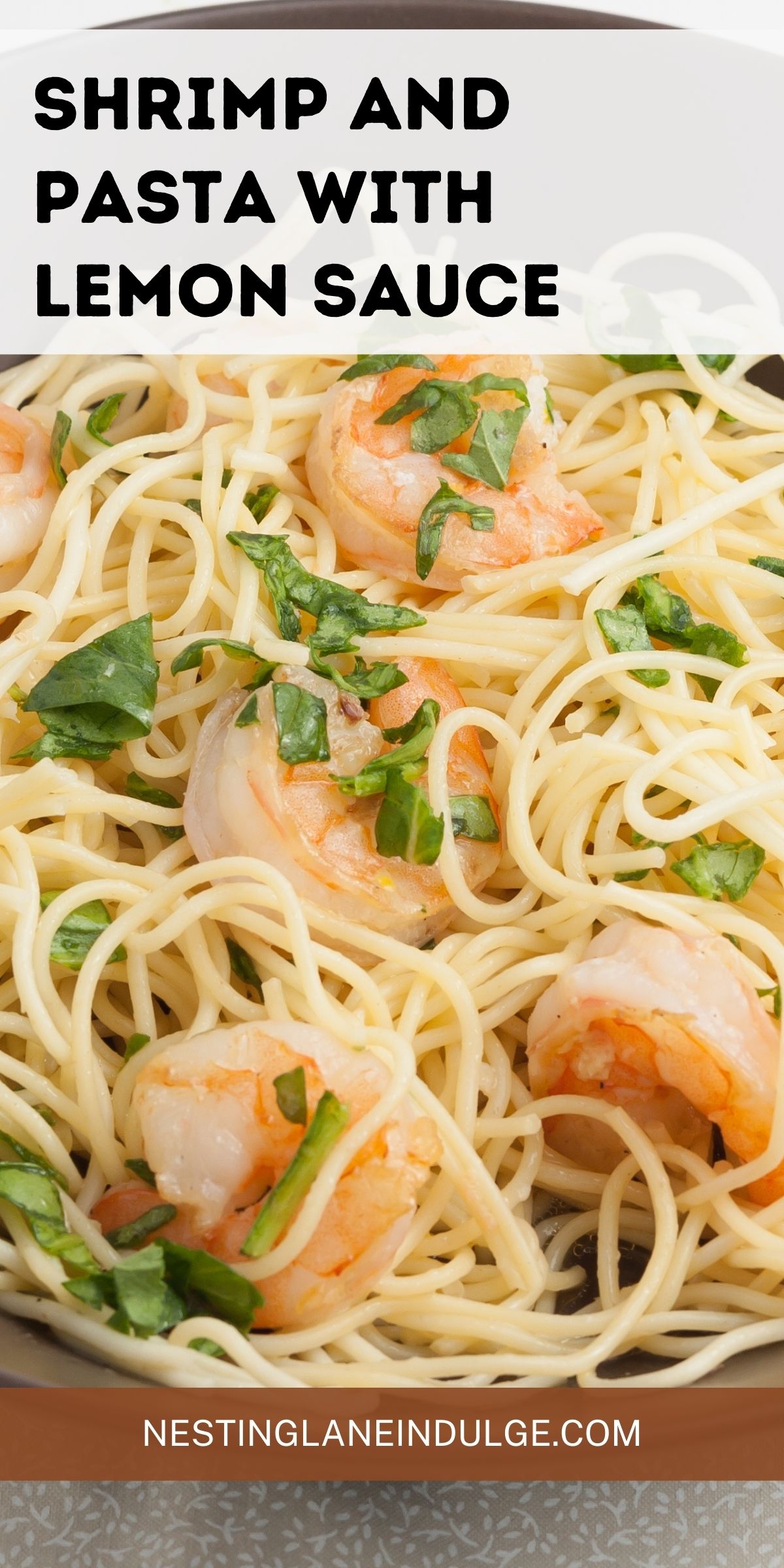 Shrimp and Pasta with Lemon Sauce Recipe Graphic.