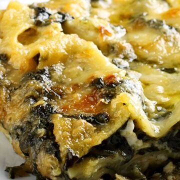 Close-up slice of Chicken Alfredo Lasagna with Spinach on a white plate—golden, bubbly mozzarella over creamy Alfredo, tender noodles, and wilted spinach layers. Comfort food dinner, Italian pasta casserole, cheesy chicken lasagna.