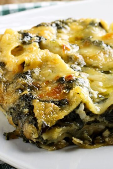 Close-up slice of Chicken Alfredo Lasagna with Spinach on a white plate—golden, bubbly mozzarella over creamy Alfredo, tender noodles, and wilted spinach layers. Comfort food dinner, Italian pasta casserole, cheesy chicken lasagna.