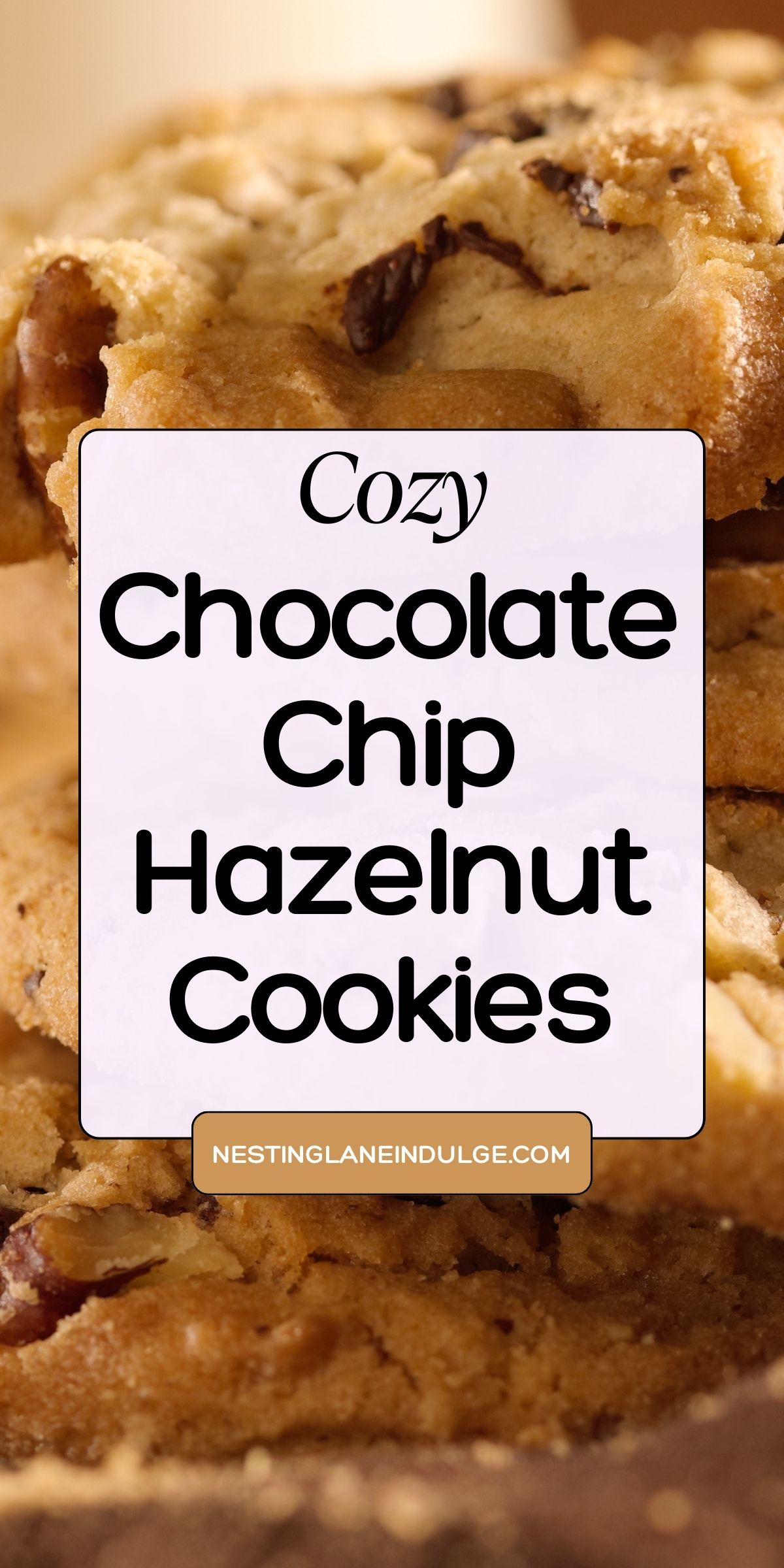 Close-up of golden chocolate chip hazelnut cookies with a soft, crumbly texture and visible nuts and chocolate pieces. Centered text reads &ldquo;Cozy Chocolate Chip Hazelnut Cookies&rdquo; with a small tag &ldquo;NESTINGLANEINDULGE.COM&rdquo; underneath, set against the warm cookie background.
